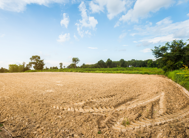 Decisão do STF reforça regras para aquisição de terras por estrangeiros no Brasil