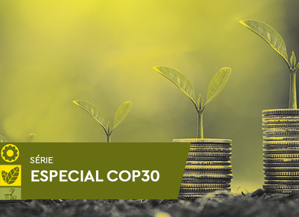 Agro brasileiro na COP30: descarbonização, mercados e financiamento — o que esperar