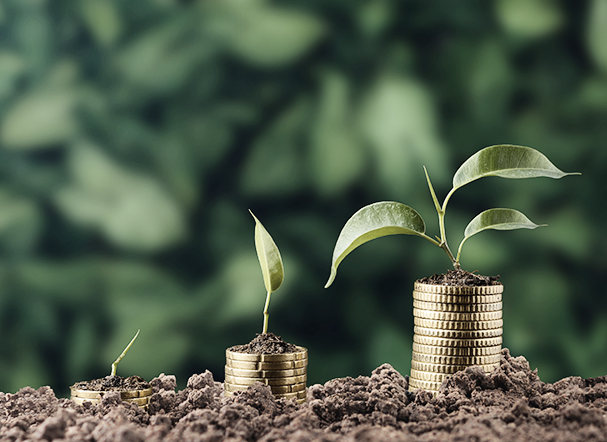 Sustentabilidade no mercado de capitais: o que muda com as novas regras da CVM