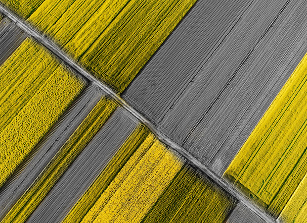 Land regularization as a boost for agribusiness 