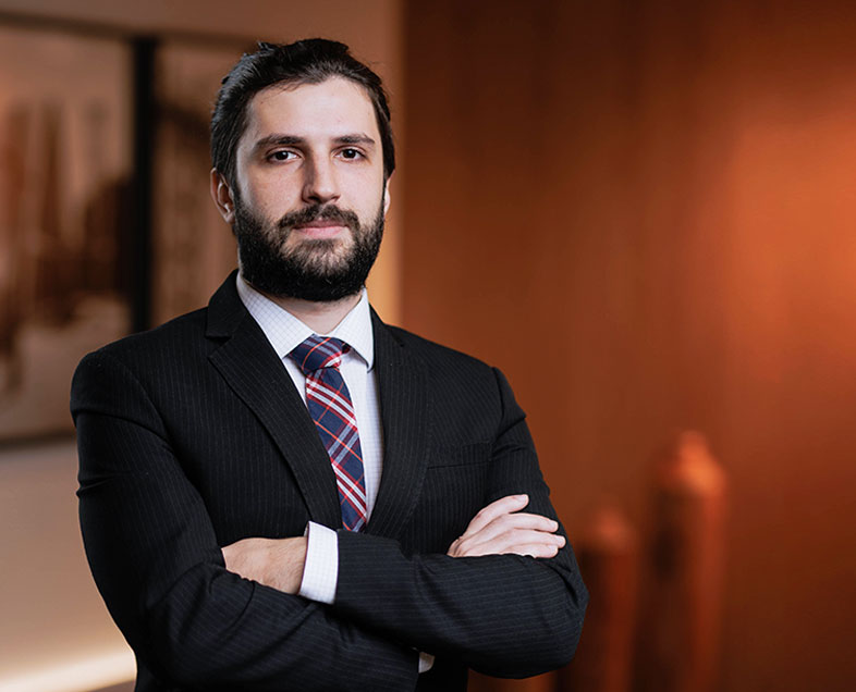 Leonardo Sabongi Lavinas Guimarães Leonardo Sabongi Lavinas Guimarães