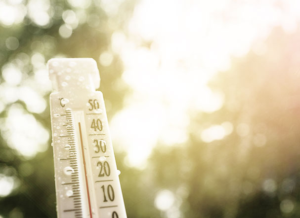 Cop 30: Brasil busca liderança no combate à crise climática