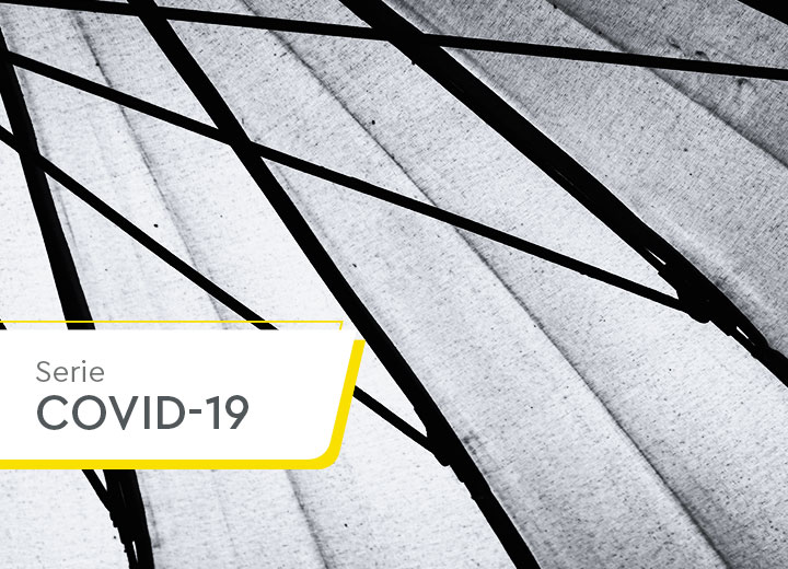 CVM regulates digital general meetings for publicly-traded companies