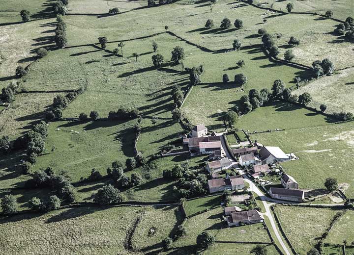 Decision by the TJ/SP is favorable to the sale of rural property by a Brazilian financial institution equivalent to a foreign entity in a foreclosure action