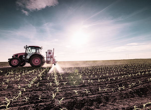Fiagro: nova alternativa de financiamento privado para o agronegócio brasileiro