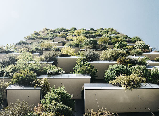 FIDC Socioambiental, oportunidade para a economia verde e os negócios de impacto