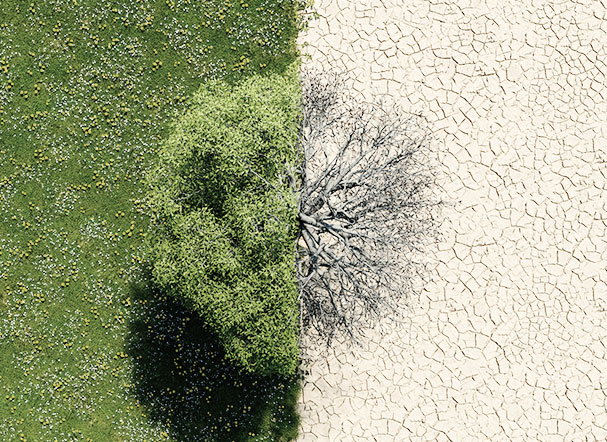 Mudanças climáticas e as obrigações legais dos países