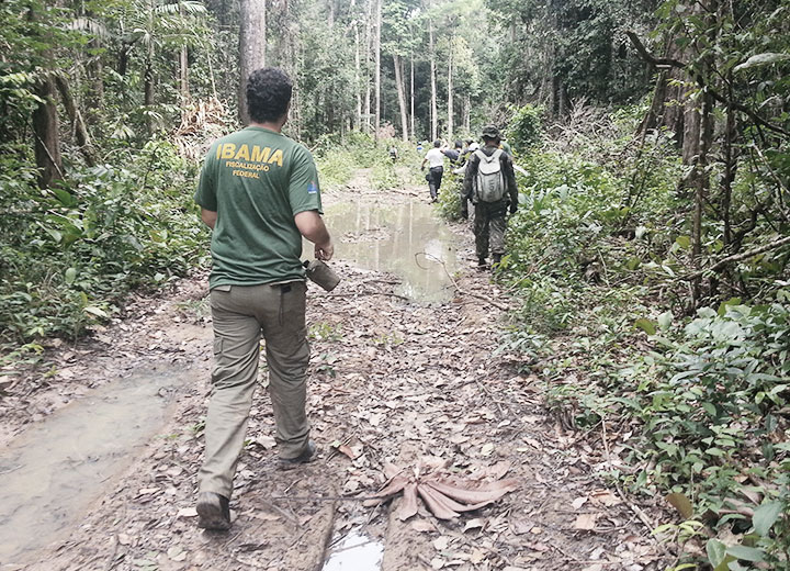 Benefits of Ibama's new procedures on environmental damages arising from vegetation suppression