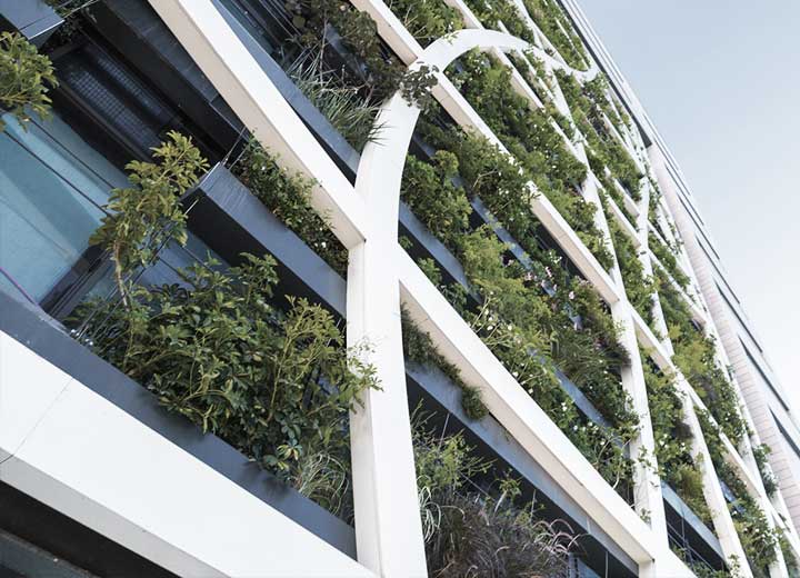 O tema da sustentabilidade nos escritórios de advocacia do Brasil