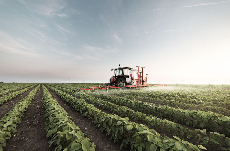 A importância da CPR Verde para o crescimento sustentável do agronegócio