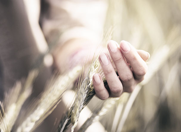 Correct analysis of ITR measurement criteria may benefit agribusiness