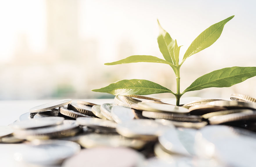 Green economy gains strength with the creation of a bureau