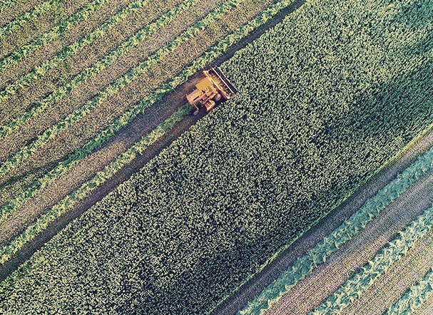 Financiamento ao agronegócio e o BNDES como garantidor das ofertas de CRA