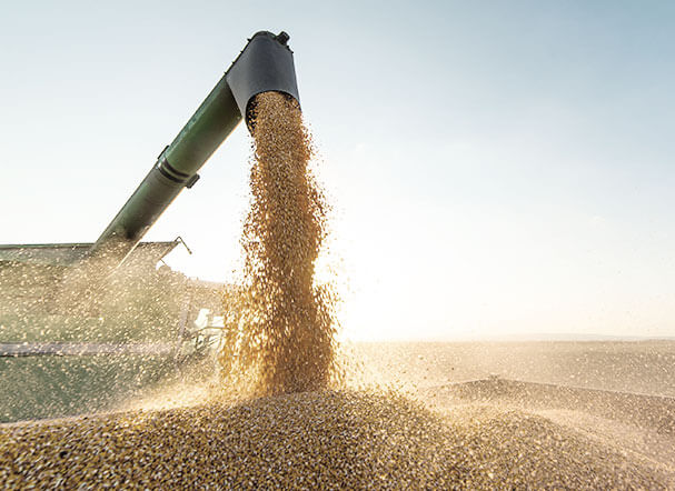 Fomento ao agronegócio: regulamentação da CPR Verde