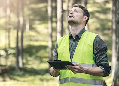 Novo decreto regulamenta a compensação ambiental para licenciamentos em SP e estabelece competências da Câmara de Compensação Ambiental
