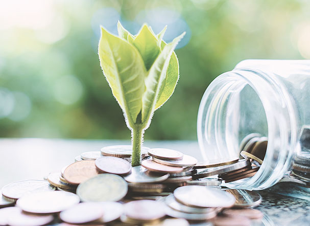 Standardization of accounting disclosure of sustainability assets