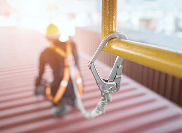 Health and Safety at Work: updates to Regulatory Standard 1