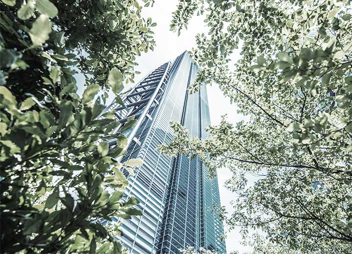 STF reconhece a repercussão geral de recurso sobre prescrição de ressarcimento civil por dano ambiental