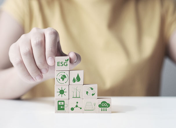 Pessoa segurando cubos pequenos de brinquedo na cor marrom, com representações gráficas impresas em verde