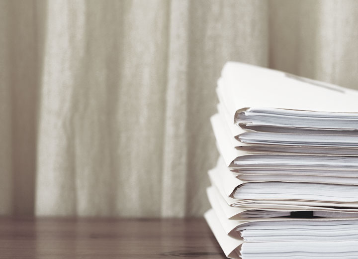 Razoabilidade, celeridade e princípio da instrumentalidade no atual processo do trabalho